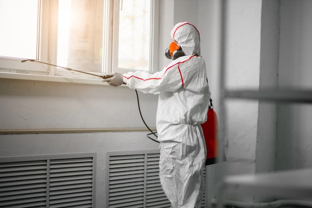 Professional mold remediation services in Gibsonton, FL